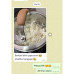 Jagung Popcorn Non Gmo Raw 500 Gram
