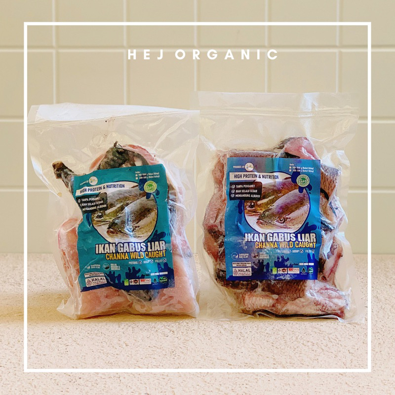 Ikan Gabus Liar Fillet & Utuh Natural By Pure Organic