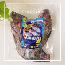 Ikan Mujaer Liar Utuh Tanpa Pengawet By Pure Organic