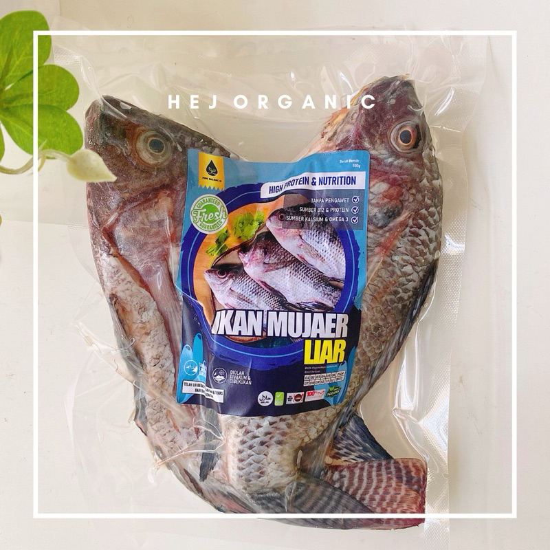 Ikan Mujaer Liar Utuh Tanpa Pengawet By Pure Organic