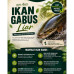 Ikan Gabus Liar Fillet & Utuh Natural By Pure Organic
