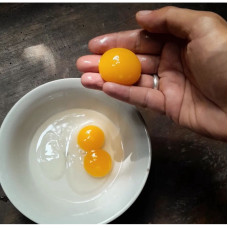 Telur Bebek Natural Pakan Alami Cage Free, Hormone Free, Antibiotic Free