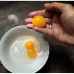 Telur Bebek Natural Pakan Alami Cage Free, Hormone Free, Antibiotic Free