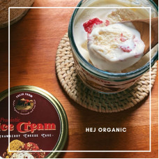 Ice Cream Probiotic Gluten Free From Grassfed Cow Milk Kefir By Falik Farm