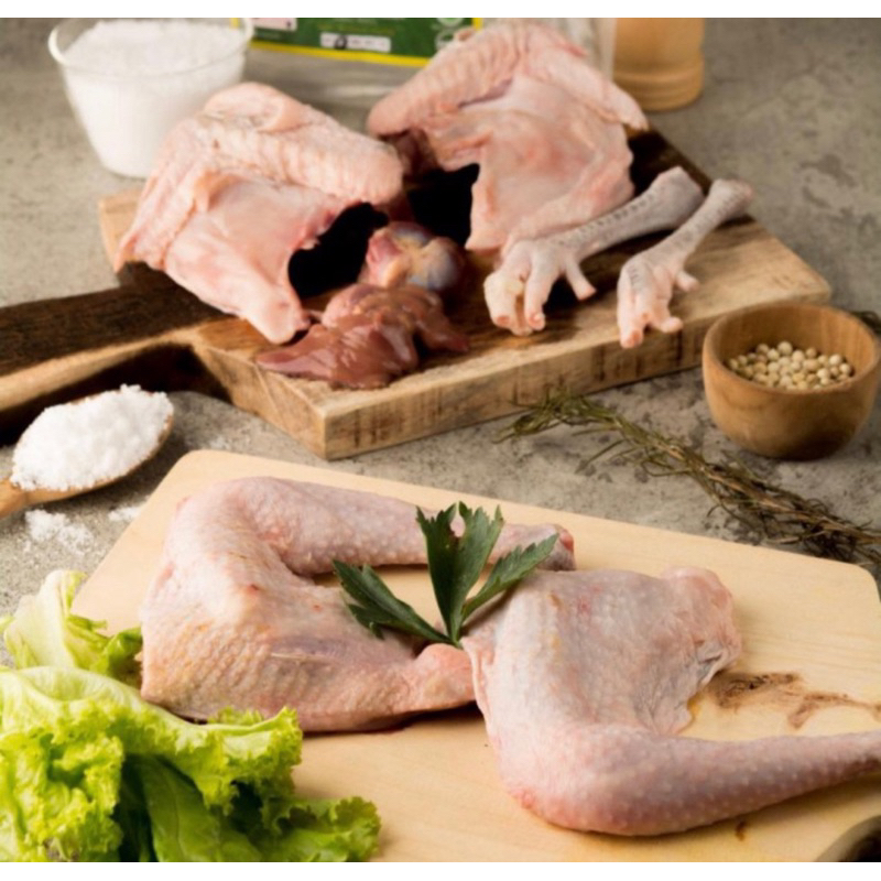 Ayam Kampung Organik Free Range Bebas Hormon By Brocock