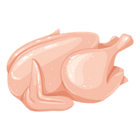 Ayam Kampung & Negeri Organik