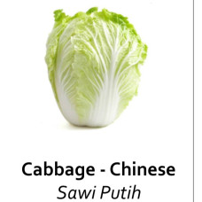 Sawi putih organik