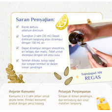 Sendok takar regas